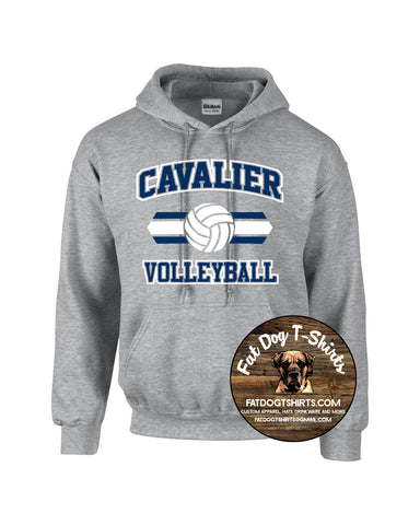 ACADEMY OF SAINT PAUL HOODIE-ASP VOLLEYBALL SPORT GREY